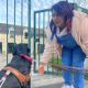 Vidéo : immersion à l'Ecole de chiens guides d'aveugles