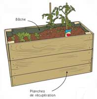 Illustration article Papas Bricoleurs : Potager accessible (Prix spécial)