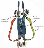 Illustration article Papas Bricoleurs : Poussette sac à dos