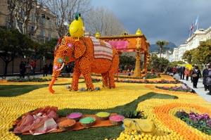 Illustration article Fête du citron Menton : des amateurs handicapés vitaminés !