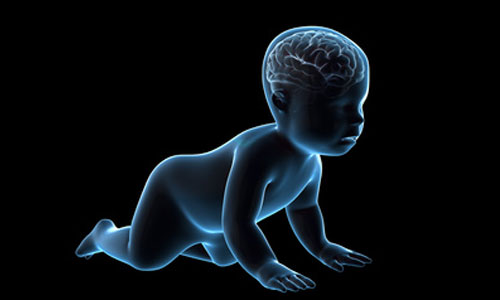 Illustration article Bébé au cerveau plus gros : présage d'autisme ? 