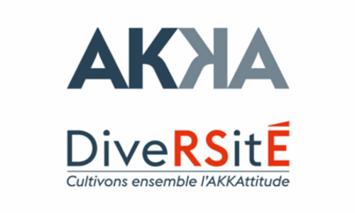 Illustration article AKKA : présentation du groupe et de sa politique Diversité