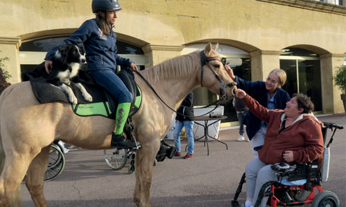 Illustration article Aurélie, amputée, se lance dans un tour de France à cheval