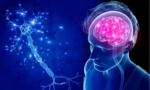 La représentation d’un cerveau humain et, à côté, d’un neurone.