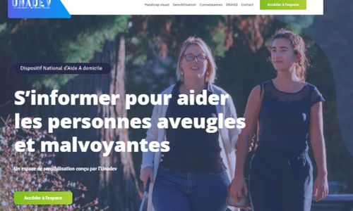 Illustration article Aveugle : un site outille les prestataires d'aide à domicile