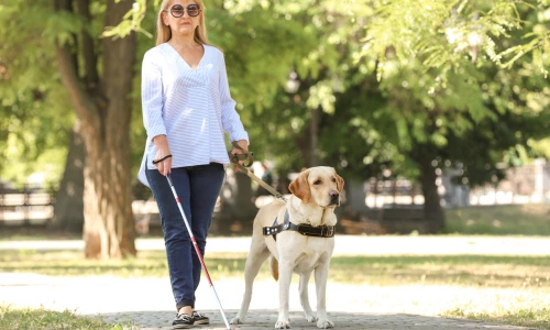 femme aveugle avec une canne blanche et un chien guide
