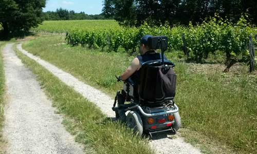 Illustration article Val de Loire : une balade vigneronne adaptée aux fauteuils 
