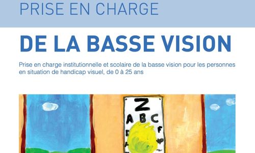 Illustration article Basse vision des 0 à 25 ans, un guide pour voir plus clair  