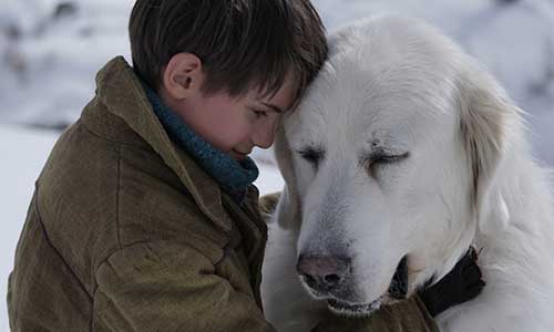 Illustration article Première de Belle et Sébastien : 20 chiens invités au ciné !