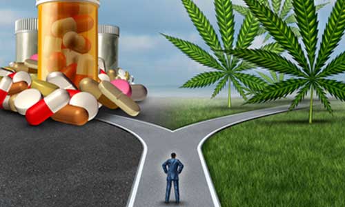 Illustration article Cannabis à usage médicinal, business des stars américaines