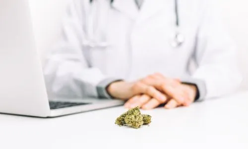 Un m&eacute;decin prescrit du cannabis th&eacute;rapeutique