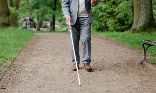 Un homme marche dans la for&ecirc;t avec une canne blanche.