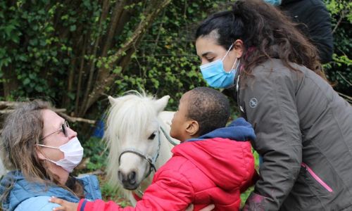 Illustration article Chevaux miniatures : au bonheur d'enfants sourdaveugles