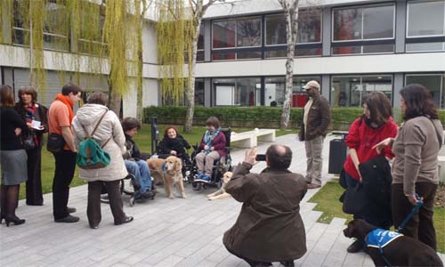 Illustration article Des chiens en école de commerce : promo assistance !