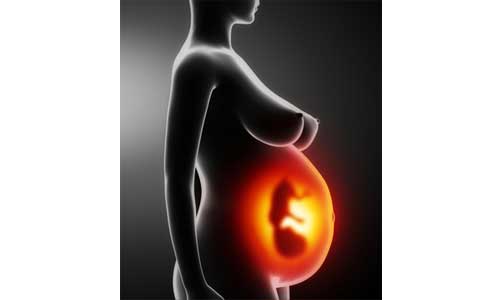 Illustration article Cytomégalovirus CMV, danger négligé chez la femme enceinte