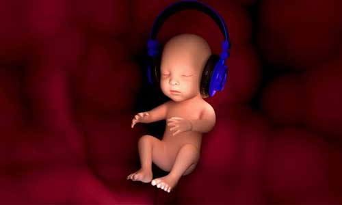 Illustration article Trop de basses : les oreilles du fœtus en danger ? 