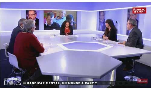 Illustration article Public sénat : handicap mental, un monde à part ?