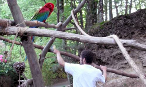 Illustration article Autisme : au zoo de Pont-Scorff, le chemin de l'insertion 