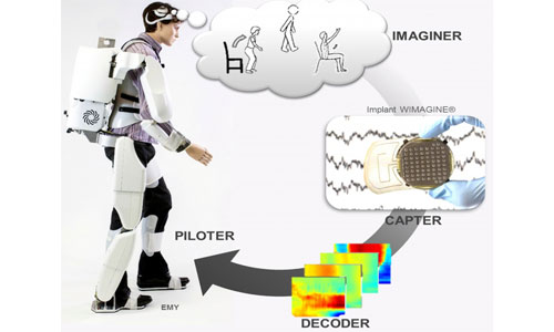 Illustration article Un exosquelette pour tétraplégiques contrôlé par la pensée