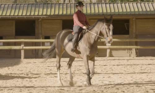 Alex sur son cheval marron, dans le manège de son nouveau club.