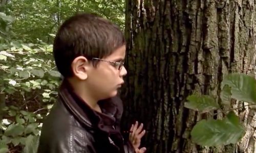Film "Je vois la forêt" : confessions de jeunes aveugles 