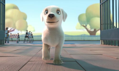 Le protagoniste du film Pip, un petit labrador blanc, en train de marcher