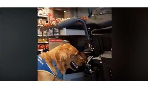 Chien-guide refusé dans un supermarché, il filme la scène