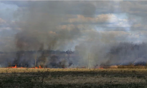 fum&eacute;e suite &agrave; un incendie dans un champ