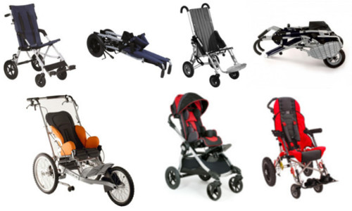 poussette pour chien handicapé