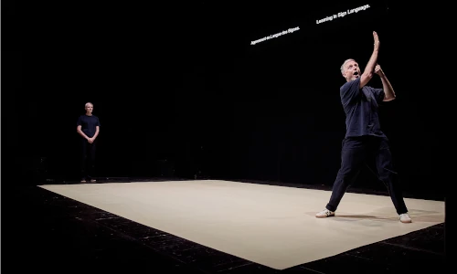 pi&egrave;ce de th&eacute;&acirc;tre mon fr&egrave;re festival d'avignon 2026
