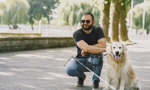 Un homme aveugle pose sa canne blanche et caresse son chien guide, un Golden.