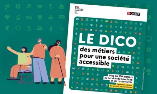 premi&egrave;re de couverture du &laquo; DICO &raquo;