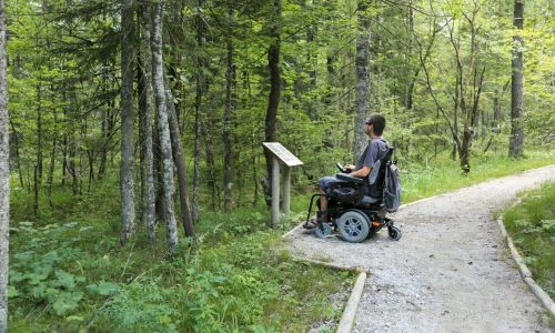 Un homme en fauteuil roulant se balade dans la for&ecirc;t