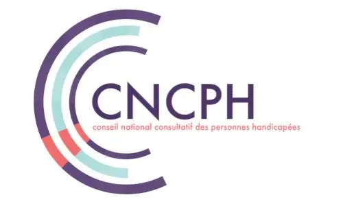 Le logo du Conseil national consultatif des personnes handicap&eacute;es.