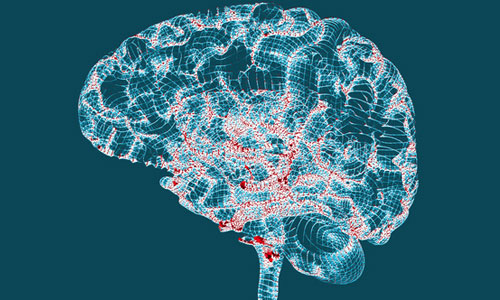 Illustration article Lésions de la moelle : des aimants régénèrent les neurones ?
