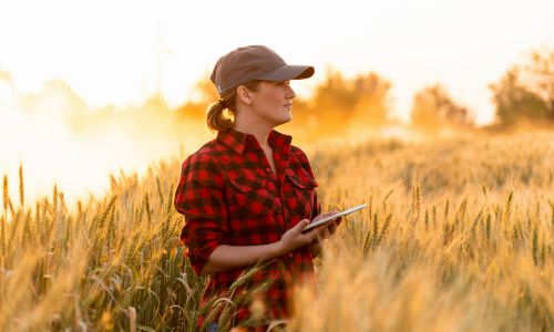 Une femme dans un champ de blé avec une casquette regardant vers la droite.