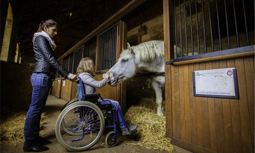 Illustration article Médiation équine : les handi misent sur le bon cheval !