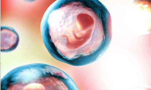 Illustration article Modification du génome d'embryons : la science "pas prête" 