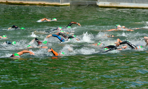 Illustration article Open swim stars : des handi-nageurs se jettent à l'eau 