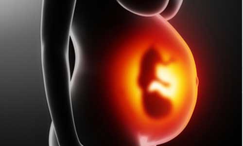Illustration article La Pologne veut mettre fin aux avortements eugéniques