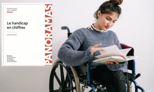 Illustration article Le profil des personnes handicapées en France ? Va savoir...