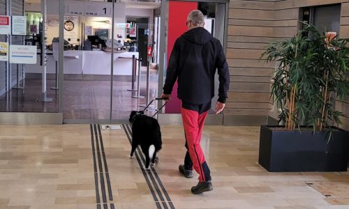 Une personne malvoyante et son chien guide dans un centre commercial.