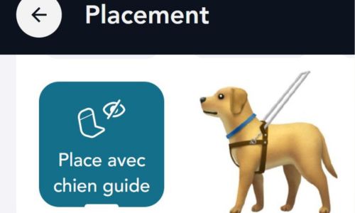 Onglet « place avec chien guide » et émoticon d’un chien guide