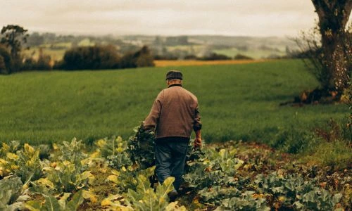 Un agriculteur de dos dans son exploitation
