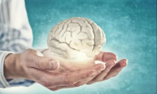 Un homme tient un cerveau dans ses mains.