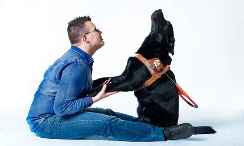 Illustration article Semaine du chien guide d'aveugle : des animations à foison
