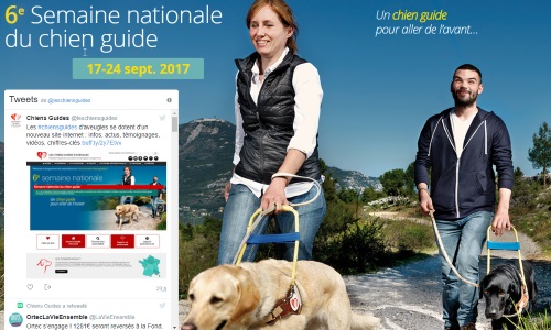 Illustration article Les chiens guides à l'honneur du 17 au 24 septembre 2017 !