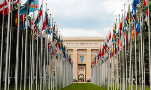 ONU avec les diff&eacute;rents drapeaux