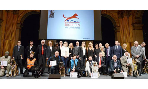 Illustration article Un trophée pour les chiens héros et au service du handicap