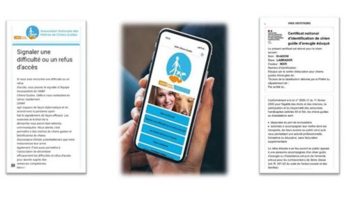 Une appli pour recenser les refus de chien guide